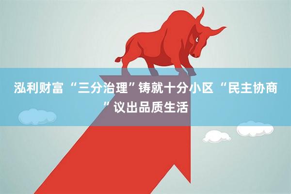 泓利财富 “三分治理”铸就十分小区 “民主协商”议出品质生活